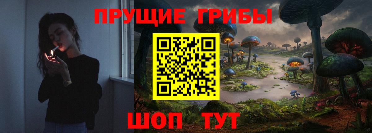 Псилоцибиновые грибы GOLDEN TEACHER  Псилоцибиновые грибы прущие грибы  Прохладный  Вход с VPN 